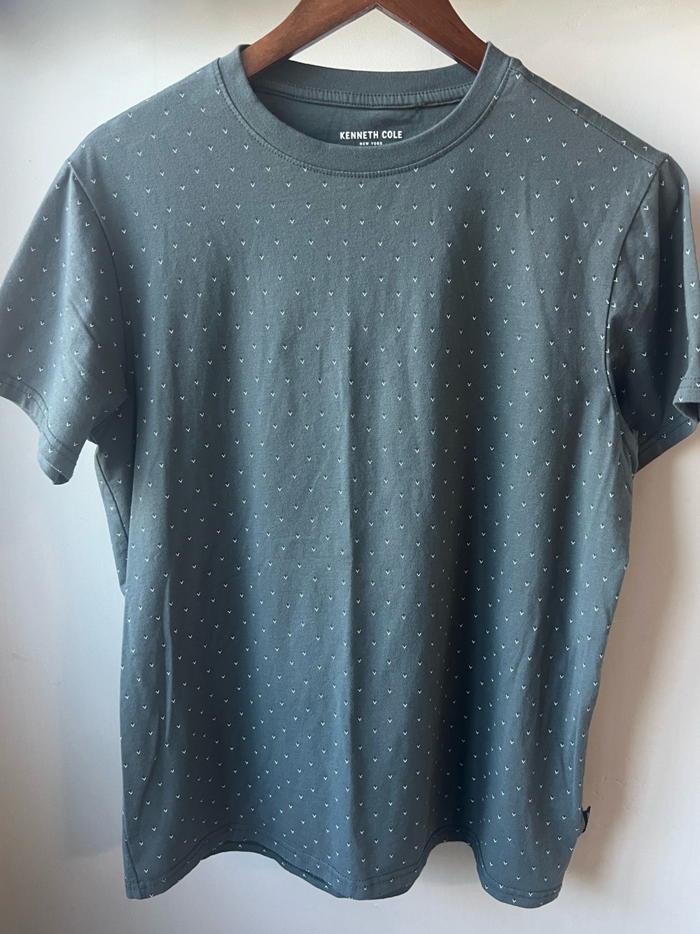 Kenneth Cole New York Mens Small Green Micro Dot Print Crewneck Tee Shirt Short